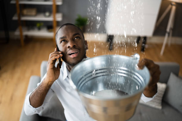 Best Water damage restoration near me  in Robbins, NC