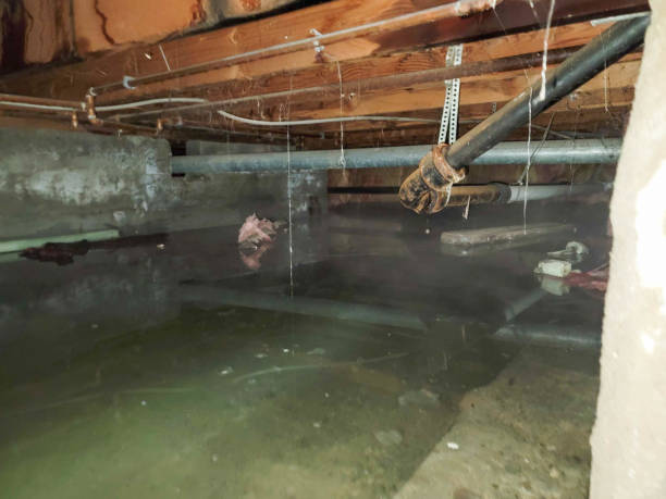 Trusted Robbins, NC Water damage restoration Experts