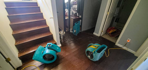 Best Water damage contractors near me  in Robbins, NC