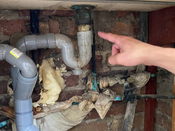 Best Local water damage restoration  in Robbins, NC