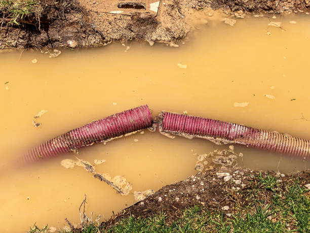 Best Sewage cleanup and water damage restoration  in Robbins, NC