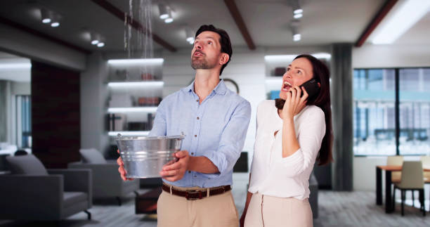 Best Flooded house restoration  in Robbins, NC
